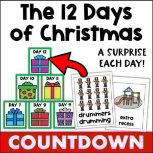 12 days of christmas countdown